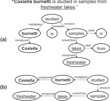 Figure 3. In this case, the minimal subgraph that