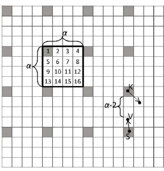 Figure. 1.  Illustration of a cell-partitioned network with m  = 16. 