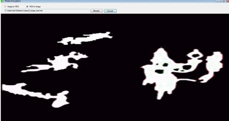 Fig 4: Output image (Background subtraction image)  