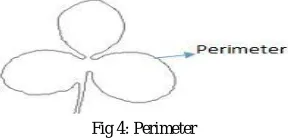 Fig 3: Aspect Ratio 