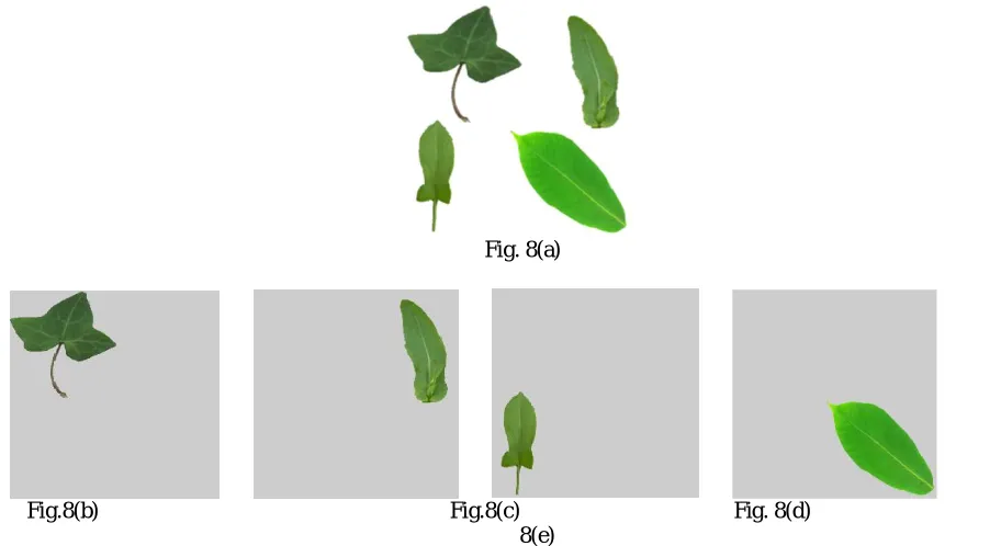 Fig. 8(a)  