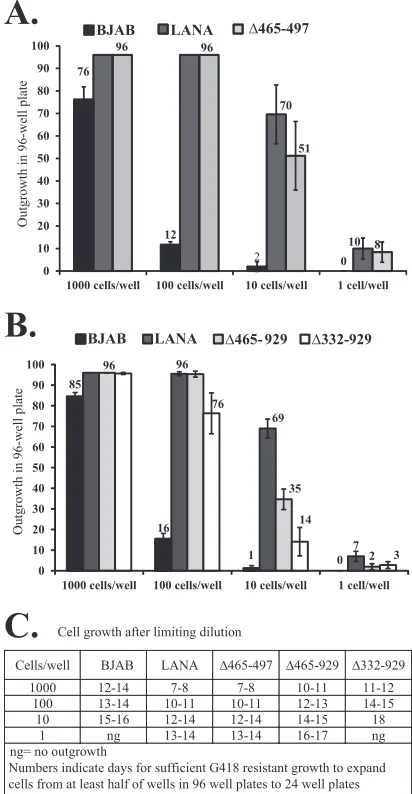 FIG 8 LANA�465-929 and LANA�332-929 exhibit deﬁciencies in limiting-dilution outgrowth after TR DNA transfection and G418 selection