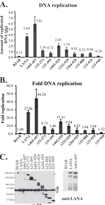 Figure 6A is a boxplot showing the percentages of GFP-positive