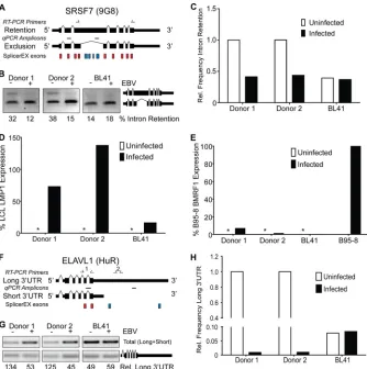 FIG 3 Validation of RNA binding proteins predicted to change at the isoform level by SplicerEX