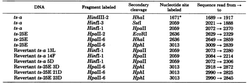 TABLE 1. Sequencing strategy for various DNAs