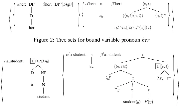 Figure 2: Tree sets for bound variable pronoun her