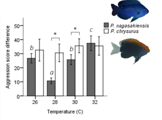 Fig 2.3. Influence of temperature on aggression scores between dominant and 