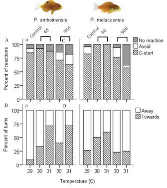 Fig 4.1. Responsiveness and directionality to the startling stimulus. Percent of 