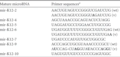 TABLE 3 Forward primer sequences used for custom small RNA real-time PCR assays