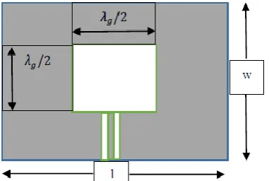 Fig. 1. Geometry of the proposed antenna fed by CPW. (Dimensions are in mm.)   