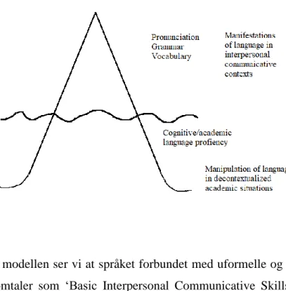Figur 6: Cummins ‘Iceberg model’ (i Baker &amp; Hornberger 2001, s. 112) 