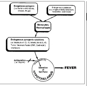 Fig. 2.4. Mechanisms of Fever.