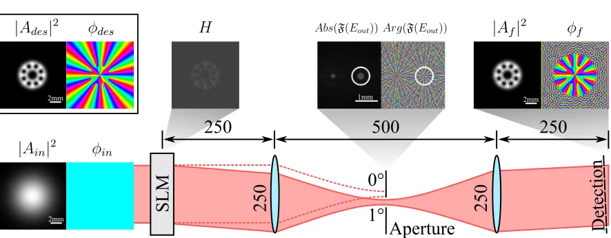 Figure 1. Summary of numerical method. The input beam and desired beam aredeﬁned to generate the hologram H