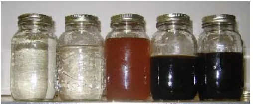 Figure 11. (left to right) Lab grade glycerol, glycerol mixed with water, glycerol from virgin soy oil, glycerol from fryer waste oil, and glycerol from chicken fat