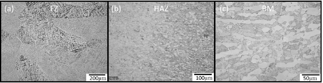 Fig. 3. Optical micrographs of the weld zones of Ring 1. (a) FZ, (b) HAZ, and (c) BM. 
