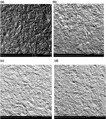 FIGURE 4Scanning electron microscope images at 1,000× magnification of treated surfaces
