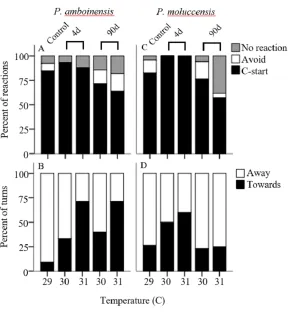 Figure 1Responsiveness and directionality to the startling stimulus. Percent of reactions representsC-start responsiveness of juvenile Pomacentrus amboinensis (A) and Pomacentrus moluccensis (C) to adrop stimulus at control, 4d or 90d exposure durations to