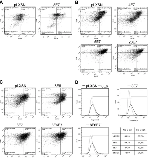 FIG 5 FACS proﬁles of human keratinocytes double labeled for CD44 and EpCAM cell surface expression or Calgranulin B
