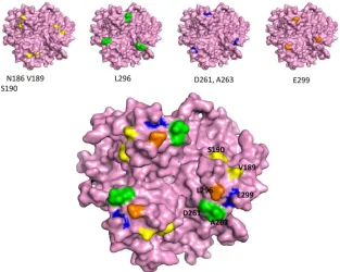 TABLE 2 Analysis of Ad3 ﬁber mutants
