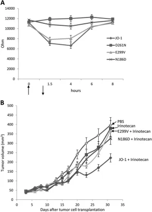 FIG 5 Correlation of reduced DSG2 binding with the ability to open epithelial junctions
