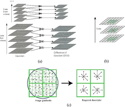 Fig. 3 (a) and (b) Process of detecting scale space extrema, (c) Process of generating key-point descriptor [18]  