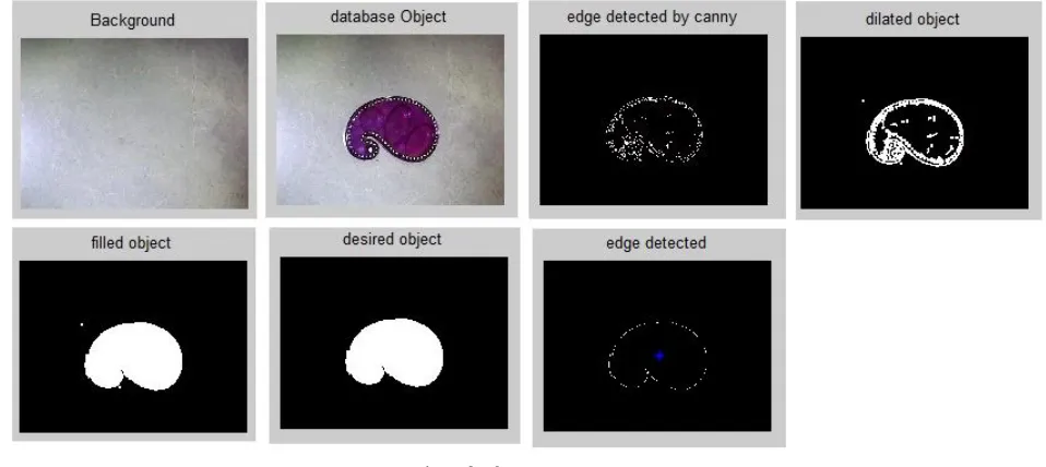 Fig. 4 Result of pre-processing  