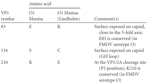 TABLE 2 Predicted amino acid differences between the ﬁeld FMDV O1Manisa sequence and FMDV O1 Manisa (Lindholm)a