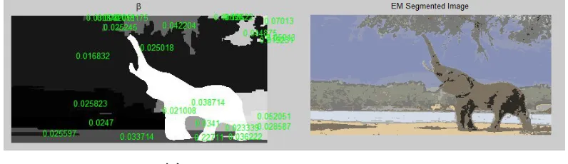 Fig 4: Values of β w.r.t different region                            Fig 5: EM Segmented Image 