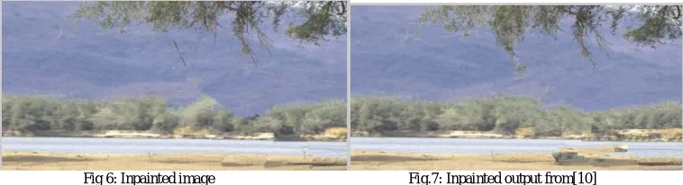 Fig 6: Inpainted image                                                      Fig.7: Inpainted output from[10] 