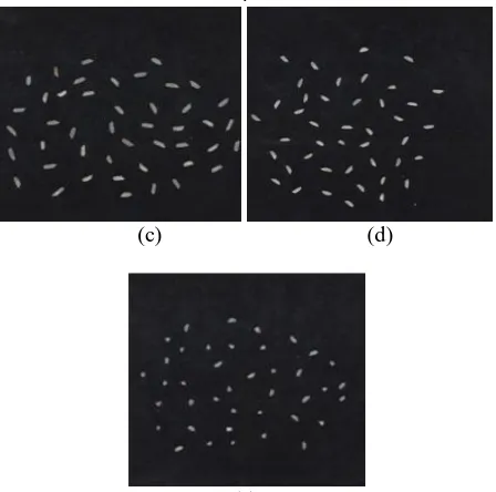 Fig 3 shows Grading of rice grains (c) Sample image of Basamati grade1 (d) Sample image of grade2 and (e) Sample Image of grade3 rice