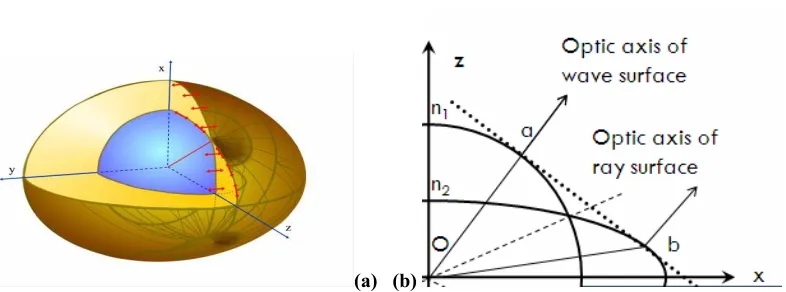 Figure 1: (a) Double sheeted wave surface with optic axis clearly defined (b) 2-D slice of the ray surface with 