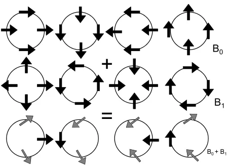 Figure 3: Polarisation distribution for one ring at beam waist, other ring is of opposite phase and polarisation direction