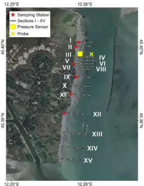 Fig 3. Map of the investigated shoreline. The 15 control sections investigated in the field survey (shortterm) and in GIS-based analysis (long term) are indicated