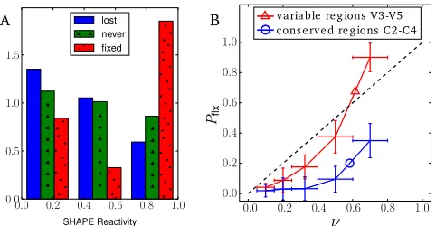 FIG 3 Permissible synonymous mutations tend to be unpaired. (A) Distribu-tion of SHAPE reactivities among sites at which synonymous SNVs ﬁxed, sitesat which SNVs reached frequencies above 15% but were subsequently lost, andsites at which high-frequency SNV