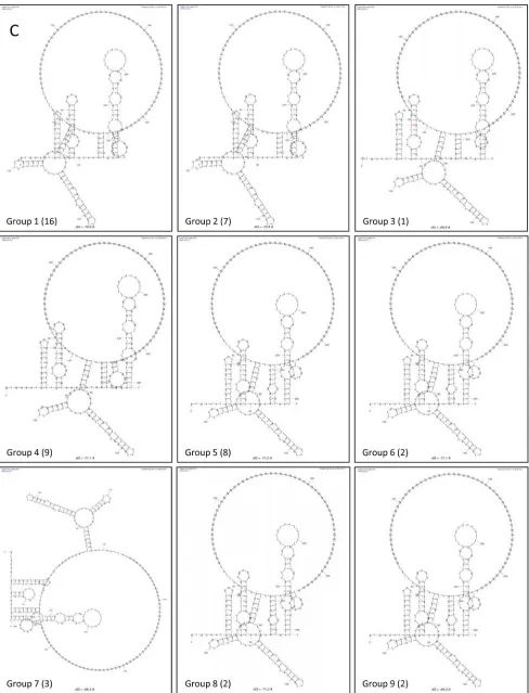 FIG 1 continued