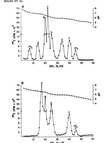 FIG.1.eachsegments,virionsiodinated IEF of 1251-chloramine-T-labeled virions and capsids