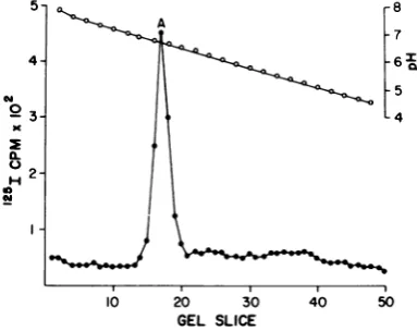 FIG. 4.complex. IEF of polyoma virion 48S Chloramine-T-iodinated virions