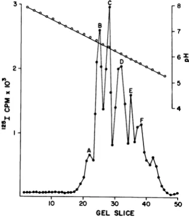 TABLE 2. IEF ofpolyoma virion and capsidstructural proteins