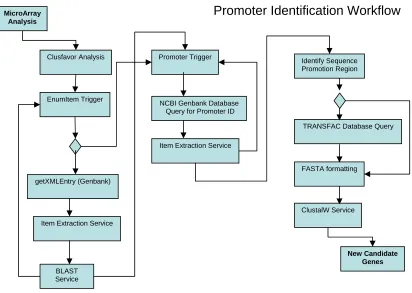 Figure 7: Example Bioinformatics Service Composition Workflow 