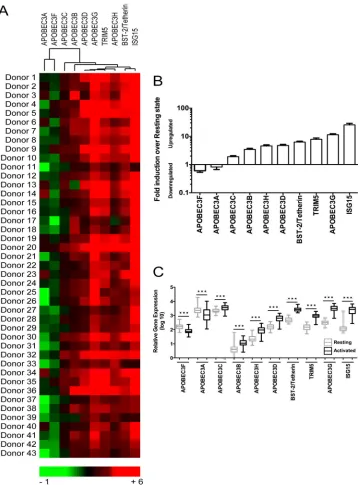 FIG 1 Host antiviral gene expression analysis in resting and activated PBMC. PBMC (n � 43) from the same blood donor were left untreated or were PHA-P(5 �g/ml) activated for 1 day