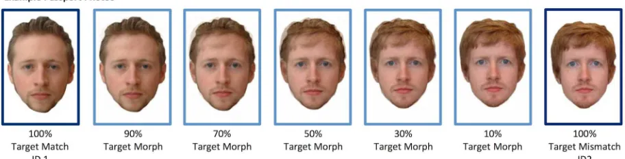 Fig 2. Morph levels used in passport frames for Experiments 1 and 2. The individuals shown in Fig 2 have given written informedconsent (as outlined in PLOS consent form) to publish these images.