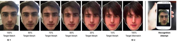 Fig 7 shows acceptance rates for faces at different morph levels. Error rates at endpoints showthat the phones are not perfect in giving access to genuine users (91.8% acceptance for thematching image), but never give access to the foil