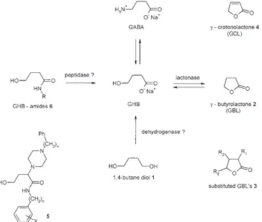 Fig. 1. Gamma-hydroxybutyric acid bioprecursors, prodrugs, and structurally related compounds.