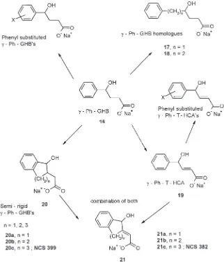 Fig. 5. Further structural modifications starting from gamma-phenyl-gamma-hydroxybutyric acid (structure 16).