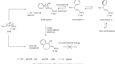 Fig. 7. Structural modification of a gamma-hydroxybutyric acid agonist, leading to an antagonist.