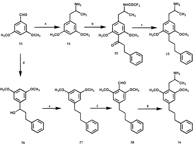 Table 1. 5-HT2A and 5-HT2C Serotonin Receptor Binding Datafor Derivatives of 3