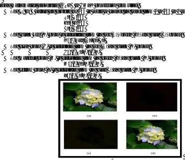 Figure 2. Visual cryptography output (a)Original image,(b)Share1(CM),(c)Share 2(YK),(d)Losslessly recovered image