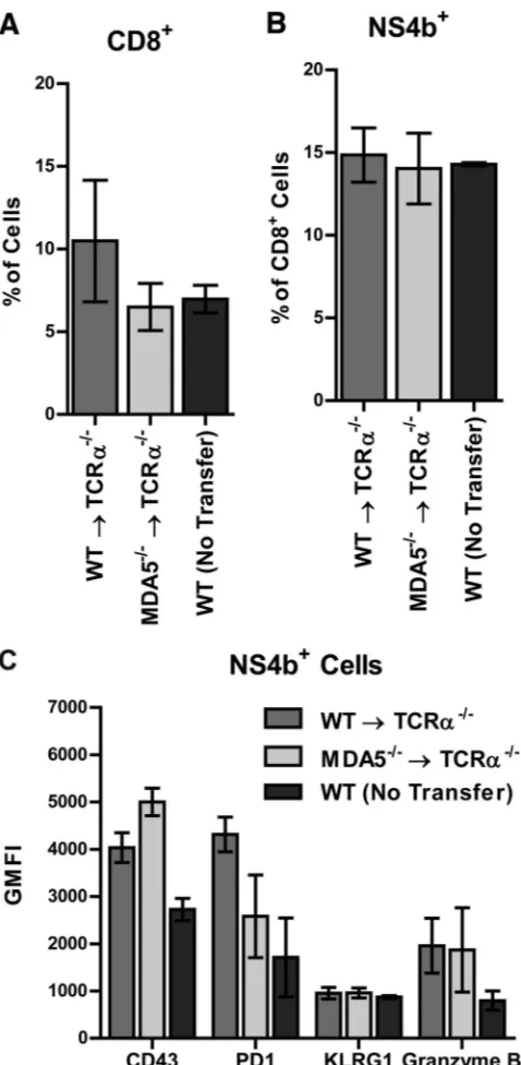 FIG 9 Adoptive transfer of naive donor WT oring cells are shown. (C) Expression of CD43, PD1, KLRG1, and granzyme Bwas measured on NS4B tetramer-positive cells