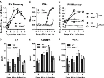 FIG 3 Type I IFN and inﬂammatory responses to WNV infection in WT andI IFN activity in serum was measured by an ECMV cytopathic effect bioassay