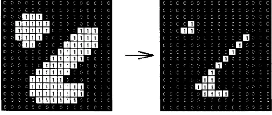Figure 2.4. Effect of Erosion using a 3*3 square structuring element